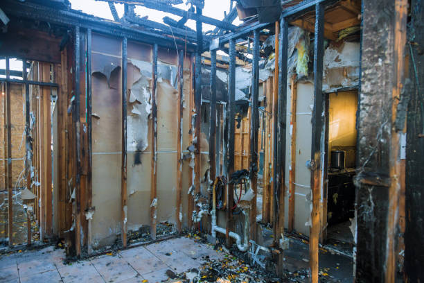 Professional Fire Damage Removal technician working in Windsor, NJ